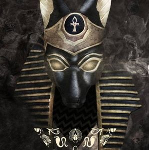 Meet your Posher, Curtis